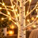 Декоративный светильник Olive Tree Atmosphere Light 60 см – светодиодная береза ​​с теплым свечением (ARSH/MA721)