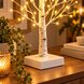 Декоративный светильник Olive Tree Atmosphere Light 60 см – светодиодная береза ​​с теплым свечением (ARSH/MA721)