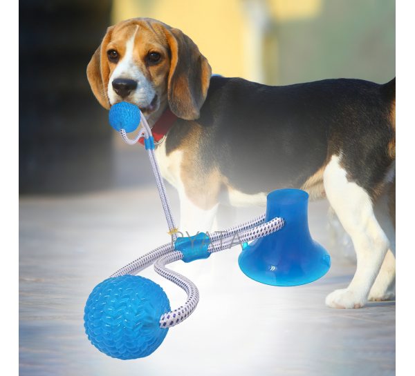 Іграшка для собак на присосці Блакитний